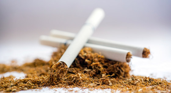 منها حبوب بها ديدان!.. تعرفوا إلى أغرب حميات الرجيم في التاريخ صورة رقم 4