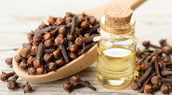 لتخفيف آلام الأسنان ومحاربة البكتيريا.. إليكم فوائد زيت القرنفل المدهشة صورة رقم 4