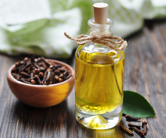 لتخفيف آلام الأسنان ومحاربة البكتيريا.. إليكم فوائد زيت القرنفل المدهشة صورة رقم 3