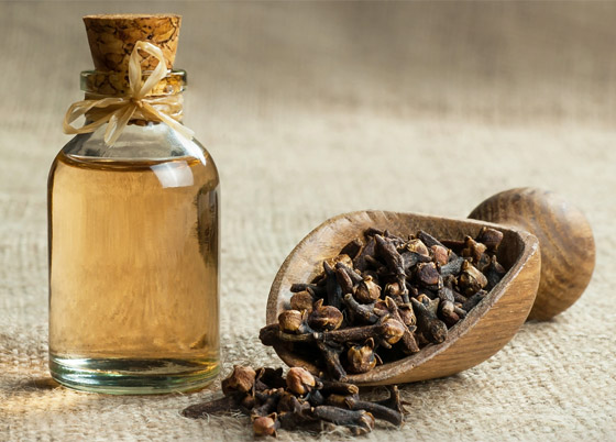 لتخفيف آلام الأسنان ومحاربة البكتيريا.. إليكم فوائد زيت القرنفل المدهشة صورة رقم 1