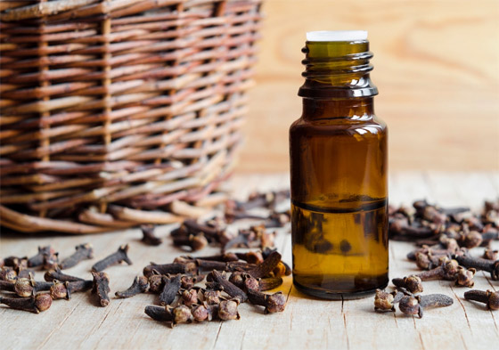 لتخفيف آلام الأسنان ومحاربة البكتيريا.. إليكم فوائد زيت القرنفل المدهشة صورة رقم 9