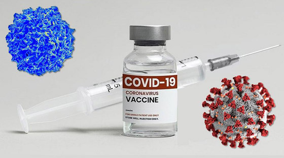 دروس محبطة من أوروبا.. لقاحات فيروس كورونا فعالة لكنها لا تكفي! صورة رقم 4