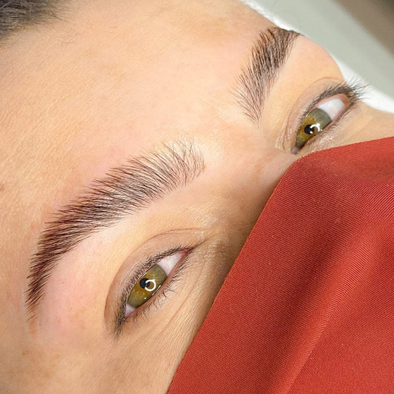 رفع الحواجب: أحدث صيحات 2021 التجميلية صورة رقم 4