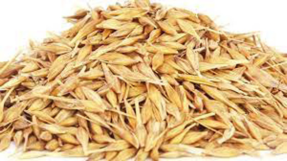 3 أعشاب تكافح تساقط الشعر صورة رقم 2