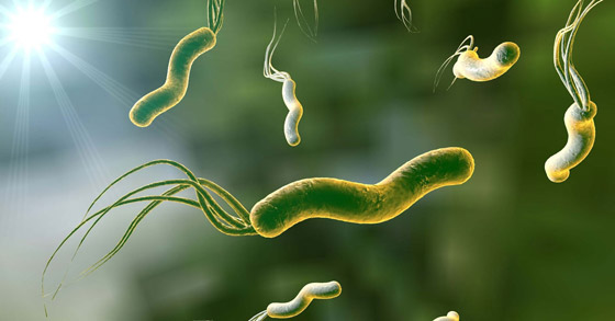 جرثومة المعدة.. أعراضها الصحية والنفسية وعلاجها بالأعشاب صورة رقم 3