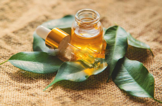 تعرفوا إلى فوائد استخدام زيت شجرة الشاي (زيت الميلالوكا) المدهشة صورة رقم 8