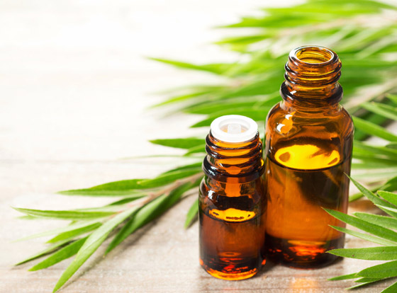 تعرفوا إلى فوائد استخدام زيت شجرة الشاي (زيت الميلالوكا) المدهشة صورة رقم 9