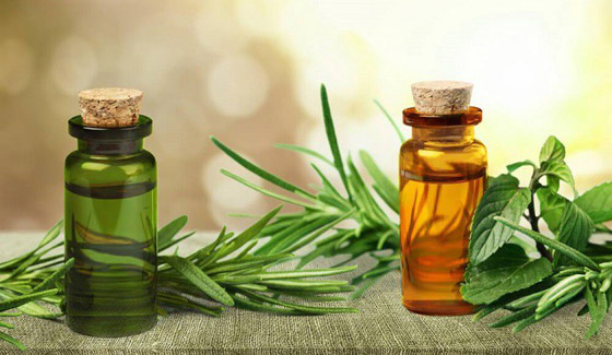 تعرفوا إلى فوائد استخدام زيت شجرة الشاي (زيت الميلالوكا) المدهشة صورة رقم 10