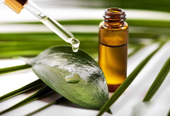 تعرفوا إلى فوائد استخدام زيت شجرة الشاي (زيت الميلالوكا) المدهشة صورة رقم 3