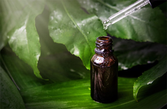 تعرفوا إلى فوائد استخدام زيت شجرة الشاي (زيت الميلالوكا) المدهشة صورة رقم 4