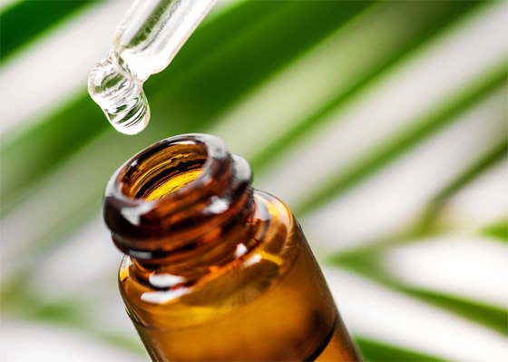 تعرفوا إلى فوائد استخدام زيت شجرة الشاي (زيت الميلالوكا) المدهشة صورة رقم 5