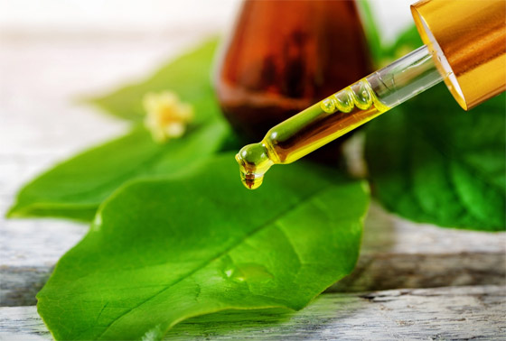 تعرفوا إلى فوائد استخدام زيت شجرة الشاي (زيت الميلالوكا) المدهشة صورة رقم 6