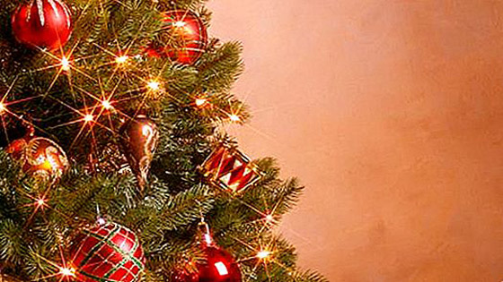 ألمانيا مسقط رأس زينة الكريسماس الزجاجية صورة رقم 9