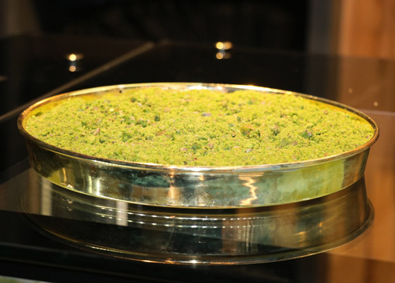 فيديو وصور: أغلى بقلاوة في العالم معروضة للبيع في تركيا بمبلغ خيالي! صورة رقم 5