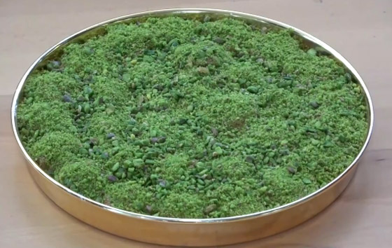 فيديو وصور: أغلى بقلاوة في العالم معروضة للبيع في تركيا بمبلغ خيالي! صورة رقم 11