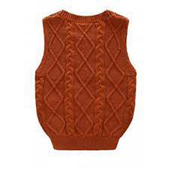 البلوفر بلا أكمام نجم موضة الشتاء صورة رقم 7