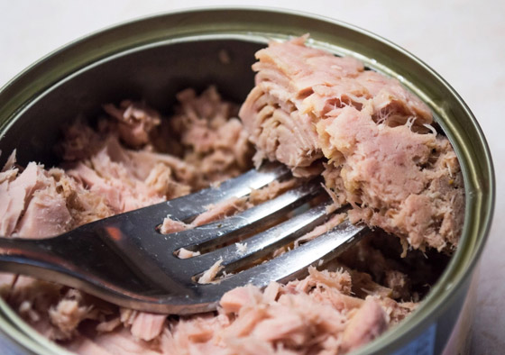 التونة والماء.. أطعمة ومشروبات صحية تكون ضارة إذا تناولتها بكميات زائدة صورة رقم 1 التونة والماء.. أطعمة ومشروبات صحية تكون ضارة إذا تناولتها بكميات زائدة صورة رقم 1