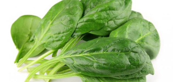 اليكم فوائد السبانخ الصحية صورة رقم 8