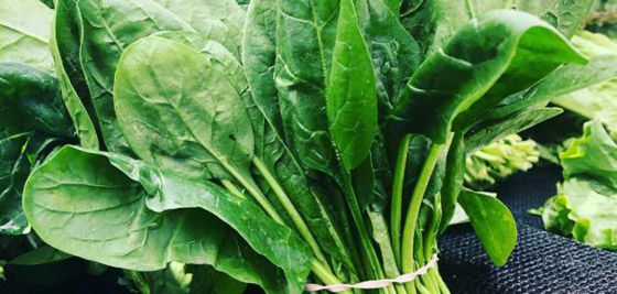 اليكم فوائد السبانخ الصحية صورة رقم 9