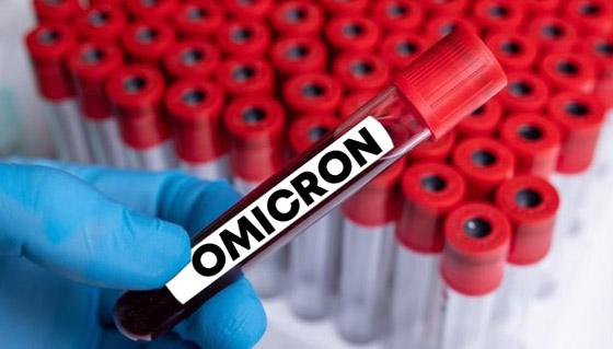 5 أسئلة تختصر قصة متحور 5 أسئلة تختصر قصة متحور