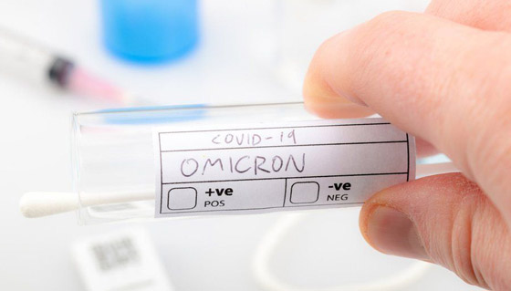 5 أسئلة تختصر قصة متحور 5 أسئلة تختصر قصة متحور