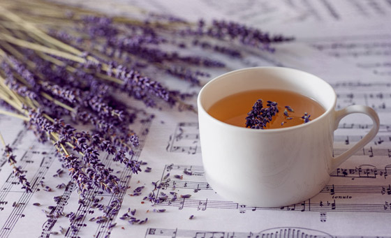 يقوي المناعة ويعزز القدرة على النوم.. 6 فوائد صحية لتناول شاي اللافندر صورة رقم 9