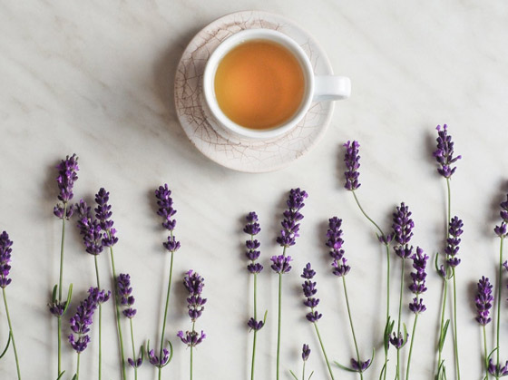 يقوي المناعة ويعزز القدرة على النوم.. 6 فوائد صحية لتناول شاي اللافندر صورة رقم 10
