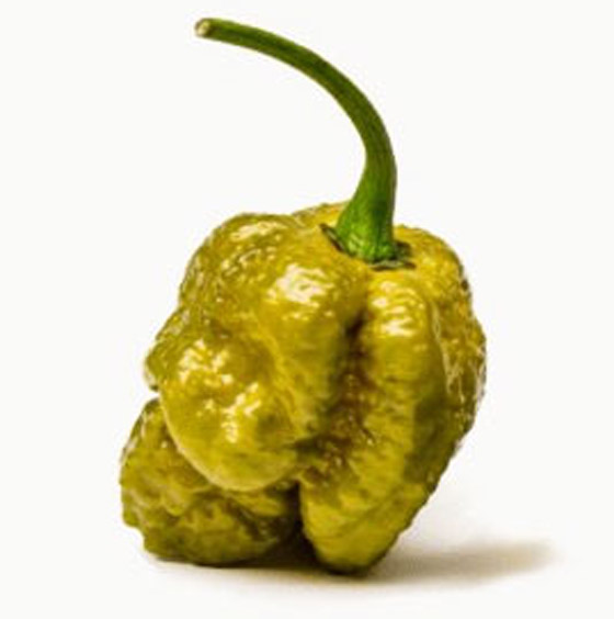 أحدها ينحدر من باكستان.. إليكم أكثر أنواع الفلفل الحار حدة في العالم صورة رقم 4