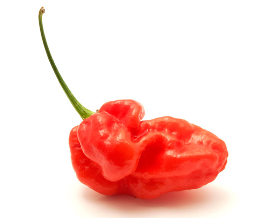 أحدها ينحدر من باكستان.. إليكم أكثر أنواع الفلفل الحار حدة في العالم صورة رقم 5