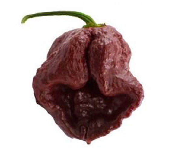 أحدها ينحدر من باكستان.. إليكم أكثر أنواع الفلفل الحار حدة في العالم صورة رقم 7