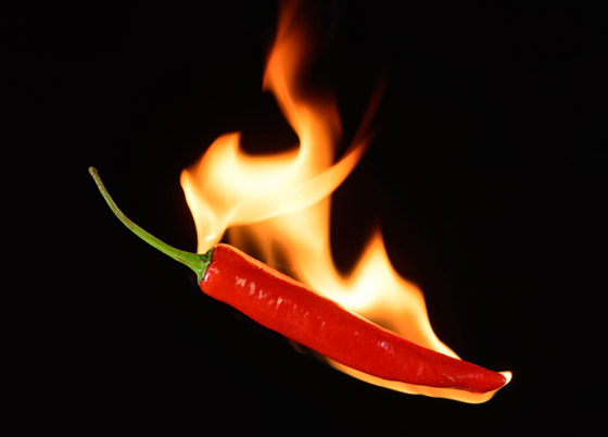 أحدها ينحدر من باكستان.. إليكم أكثر أنواع الفلفل الحار حدة في العالم صورة رقم 2