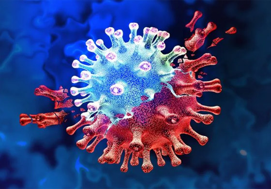 علماء بريطانيون يكشفون عن متحور جديد لفيروس كورونا أشد فتكا! صورة رقم 6