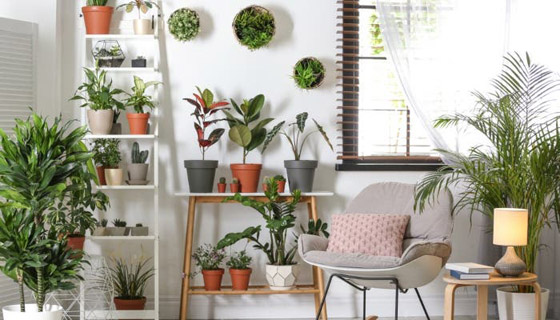 6 نصائح لبيت مليء بالطاقة الإيجابية، والراحة، والسعادة صورة رقم 3