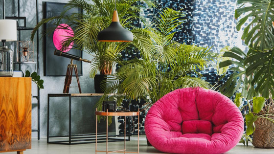 6 نصائح لبيت مليء بالطاقة الإيجابية، والراحة، والسعادة صورة رقم 2