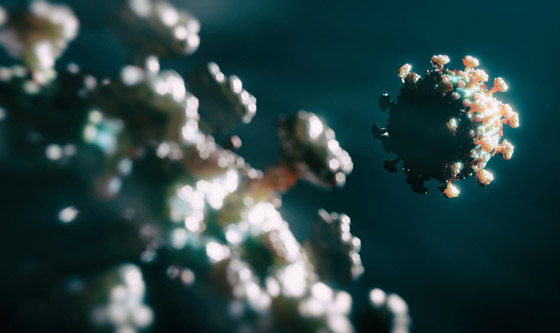 ما بين دلتا ولامبدا.. فيروس كورونا يواصل التحور والمزيد في الطريق! صورة رقم 7