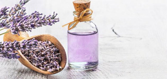 فوائد زيت الخزامى وطريقة استخدامه صورة رقم 1