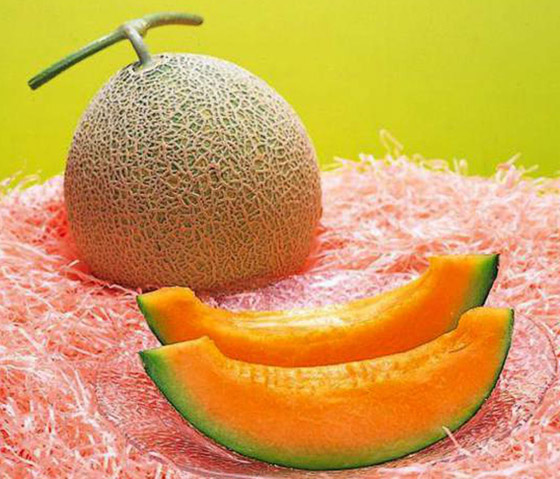 شمام يوباري الياباني أغلى فاكهة في العالم.. لن تصدقوا السعر! صورة رقم 6