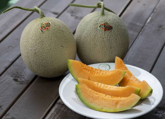 شمام يوباري الياباني أغلى فاكهة في العالم.. لن تصدقوا السعر! صورة رقم 3