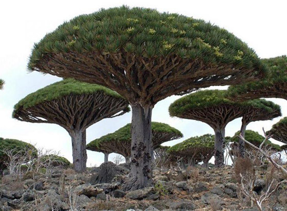    11 - :         