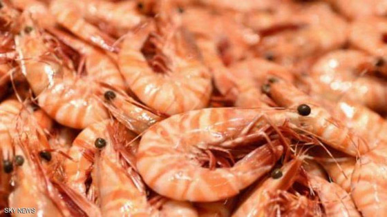 أميركا.. تحذير عاجل بشأن الجمبري المجمد صورة رقم 1