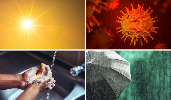 متى يصبح كورونا مرضا موسميا؟ خبير روسي يجيب.. صورة رقم 1