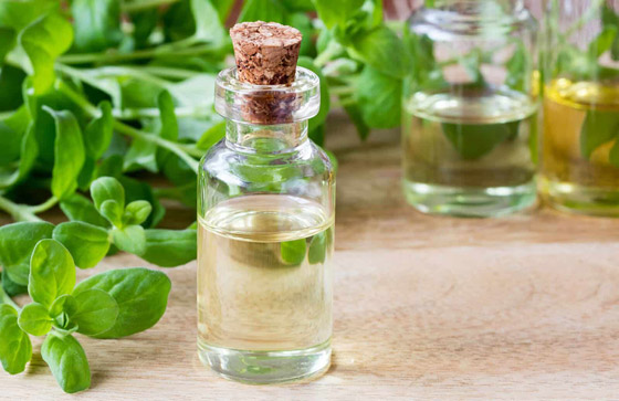 تعرفوا على فوائد عشبة البردقوش المدهشة للجسم والصحة النفسية صورة رقم 7