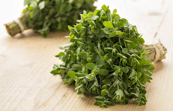 تعرفوا على فوائد عشبة البردقوش المدهشة للجسم والصحة النفسية صورة رقم 5