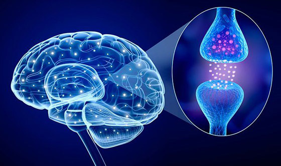 أعراض خطيرة لنقص هذا الهرمون المسؤول عن الذاكرة صورة رقم 2