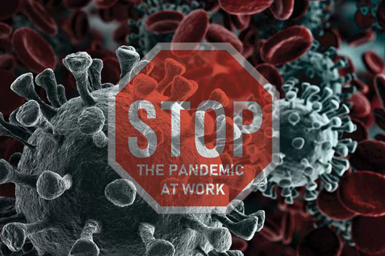 دراسة: العالم على موعد مع وباء جديد قد يشهده مواليد عام 2000 صورة رقم 1