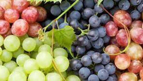 العنب الفاتح أم الداكن..أيهما أكثر فائدة للصحة؟ صورة رقم 4