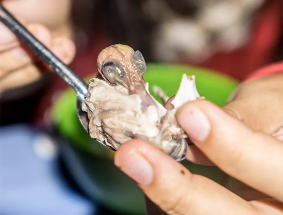 فطائر الدم والخفافيش المقلية.. إليكم أقرف 10 أطباق في العالم! صور صورة رقم 1