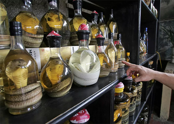 فطائر الدم والخفافيش المقلية.. إليكم أقرف 10 أطباق في العالم! صور صورة رقم 2