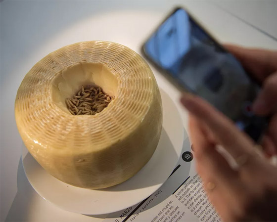 فطائر الدم والخفافيش المقلية.. إليكم أقرف 10 أطباق في العالم! صور صورة رقم 5