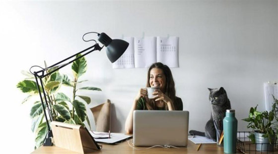 كيف تحصل على إضاءة جيدة لمكتبك المنزلي؟ صورة رقم 4